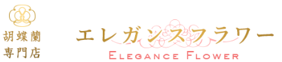 【公式】胡蝶蘭専門店「エレガンスフラワー」